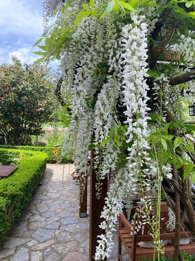 El Balcon Del Eume, Cantina Rio Coves Bed & Breakfast Puentedeume Exterior photo